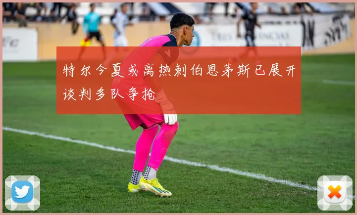 特尔今夏或离热刺伯恩茅斯已展开谈判多队争抢